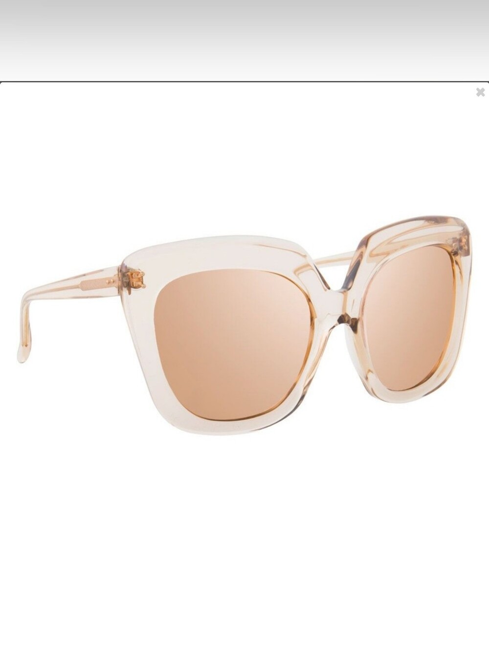 Linda Farrow 556  C5 Oversized Square Sunglasses in Beige/ New Without Box